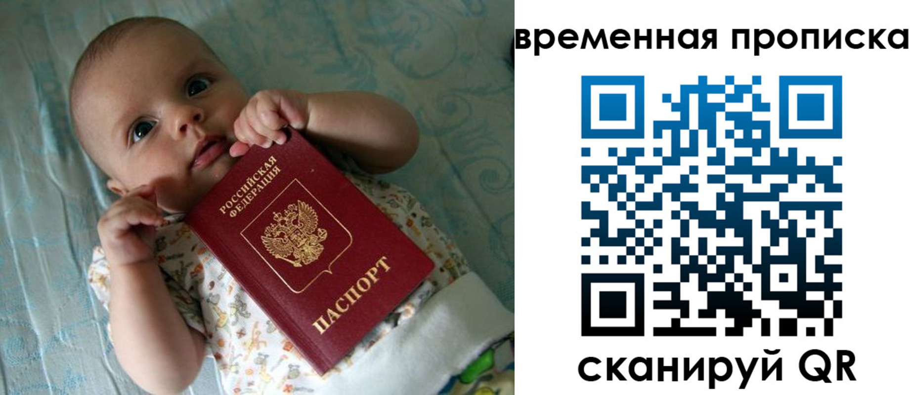найти адрес прописки в Шлиссельбурге
